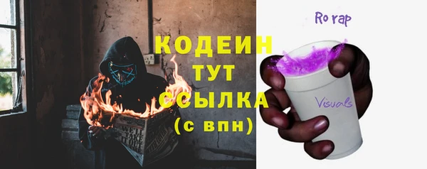 эйфоретик Алзамай