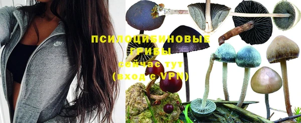 амф Алексеевка