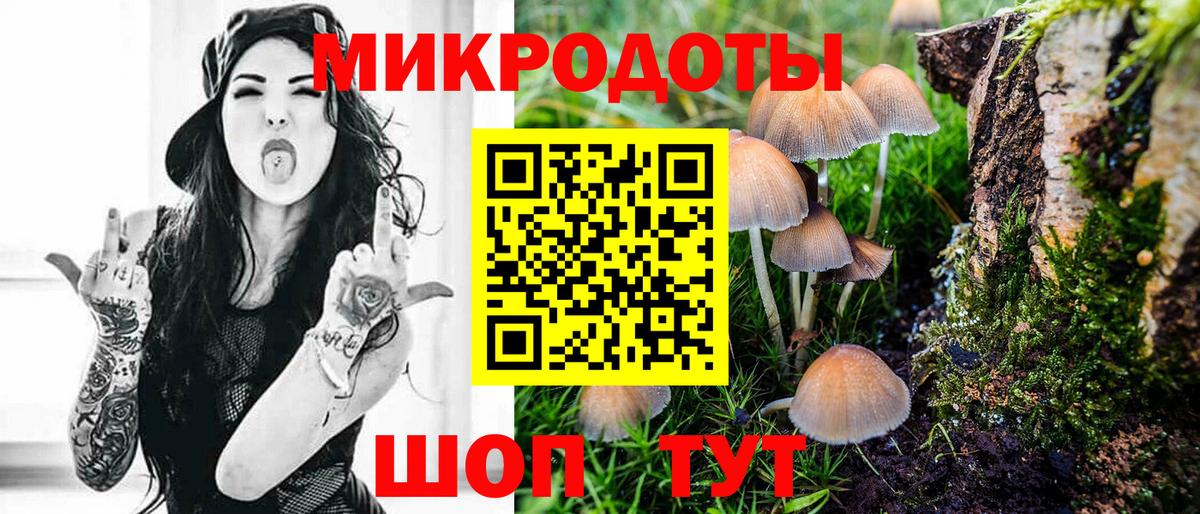 Псилоцибиновые грибы Psilocybe Сибай